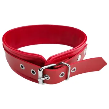 Fetish Play Collar