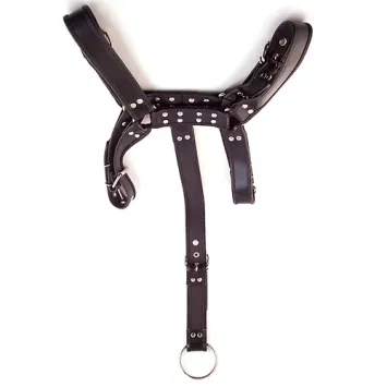 Body Harness