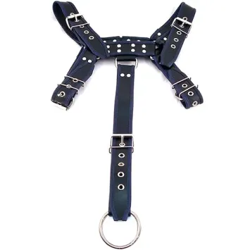 Body Harness