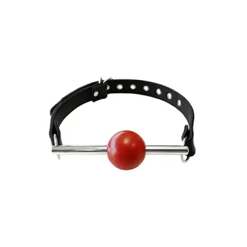 Ball Gag with Stainless Steel Rod & Removable Ball