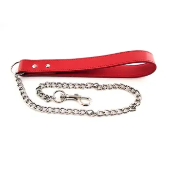 Dog Lead with Chain