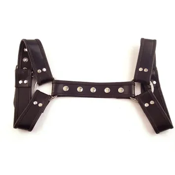 Halter Harness