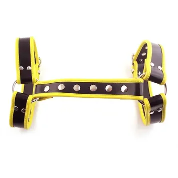 Halter Harness